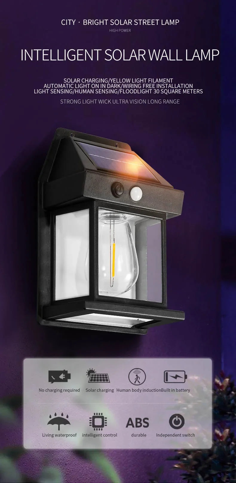 Solar Wall Light with Motion Sensor